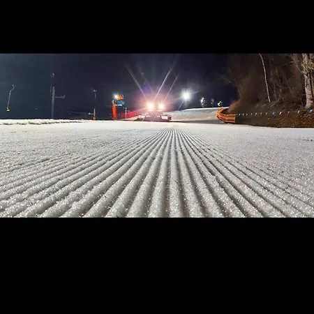 Semesterbostad Leszczynka *