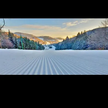 Leszczynka * Szarocin