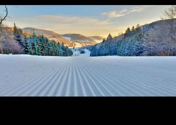 Leszczynka * Szarocin